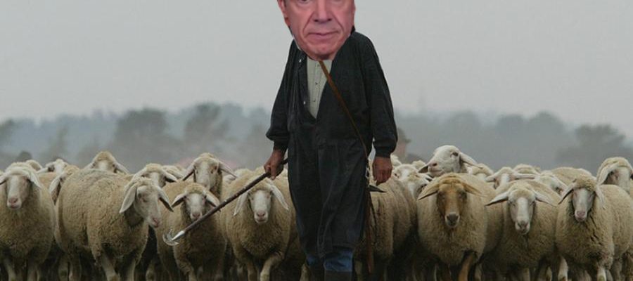 Time To Stop Being Sheep to Shepherd Cuomo